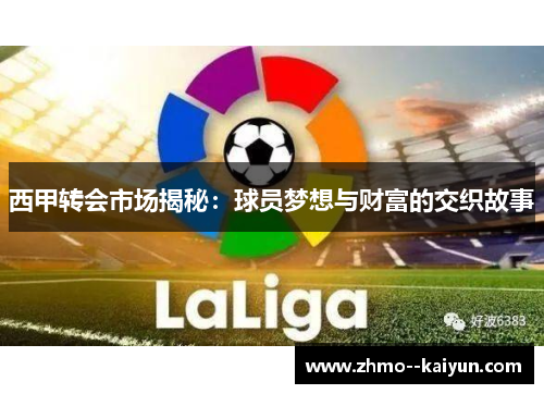 西甲转会市场揭秘：球员梦想与财富的交织故事