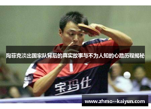 陶菲克淡出国家队背后的真实故事与不为人知的心路历程揭秘