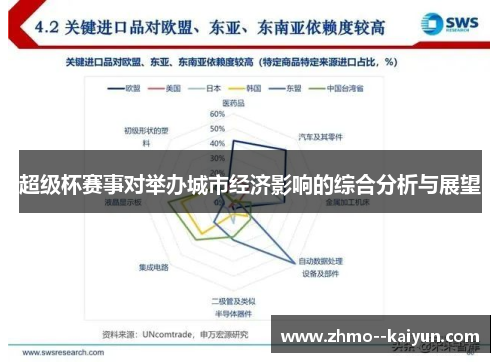 超级杯赛事对举办城市经济影响的综合分析与展望