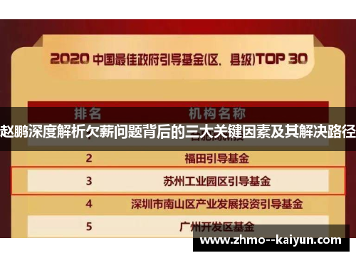 赵鹏深度解析欠薪问题背后的三大关键因素及其解决路径